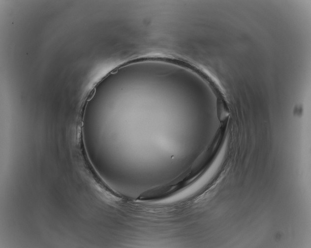 X0000091501367200708161450
