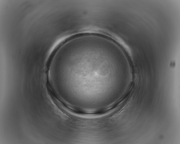 X0000091501368200708161450