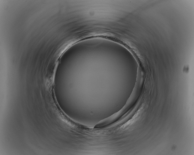 X0000091501369200708161450