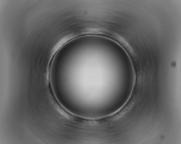 X0000091501370200708161450
