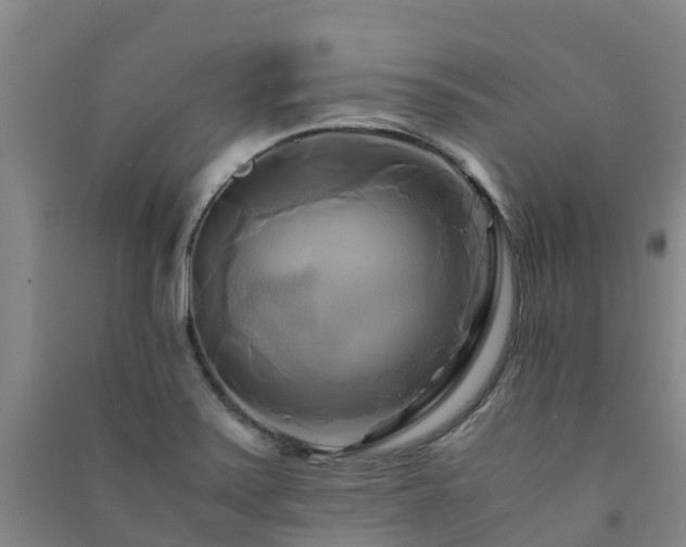 X0000091501371200708161450
