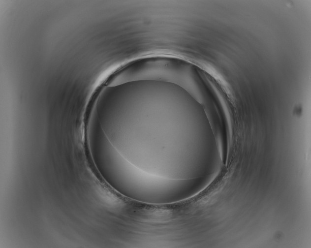 X0000091501372200708161450