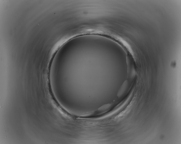 X0000091501373200708161450