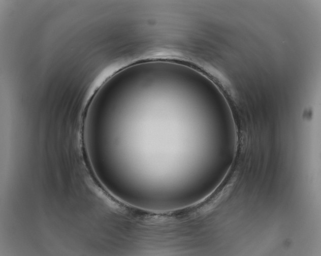 X0000091501374200708161450