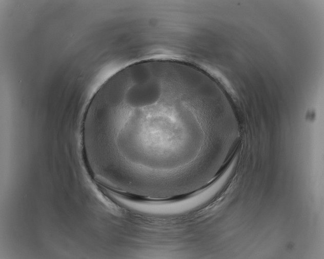 X0000091501375200708161450