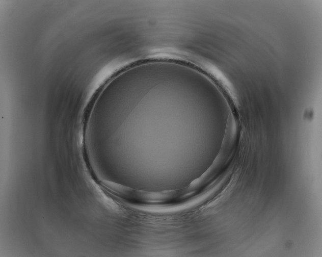 X0000091501376200708161450