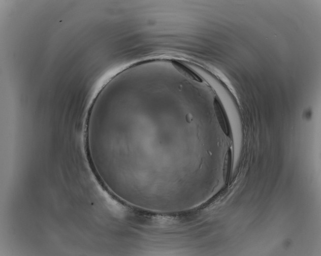 X0000091501379200708161450