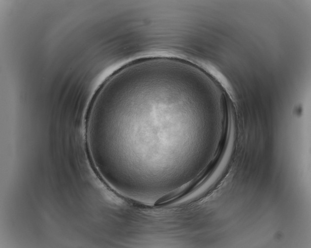 X0000091501380200708161450