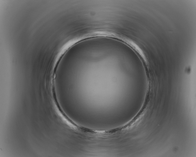 X0000091501381200708161450