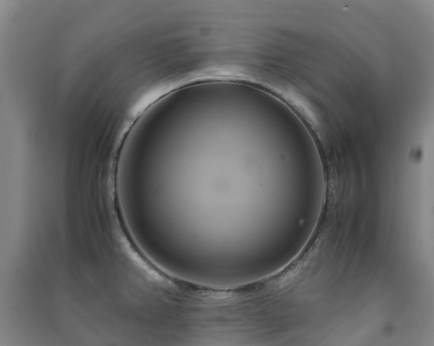 X0000091501382200708161450