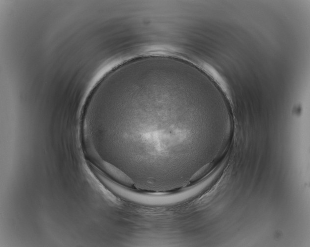 X0000091501384200708161450