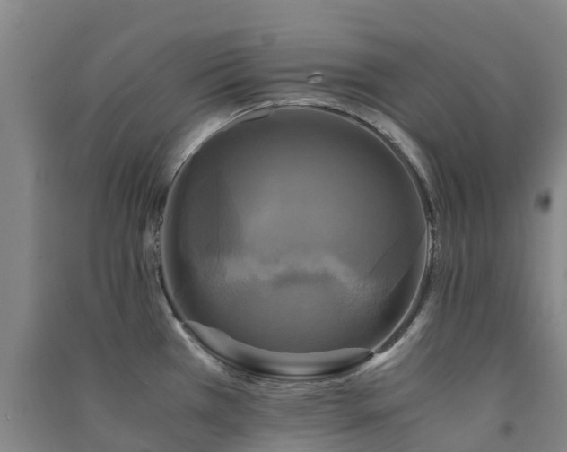 X0000091501385200708161450