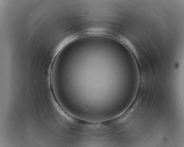 X0000091501386200708161450