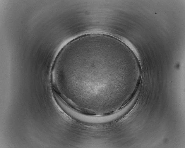 X0000091501388200708161450