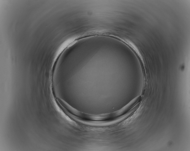 X0000091501389200708161450