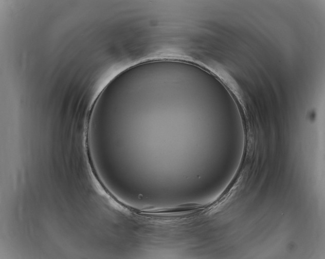 X0000091501390200708161450