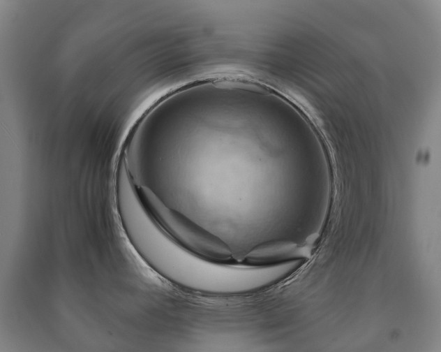 X0000091501392200708161450