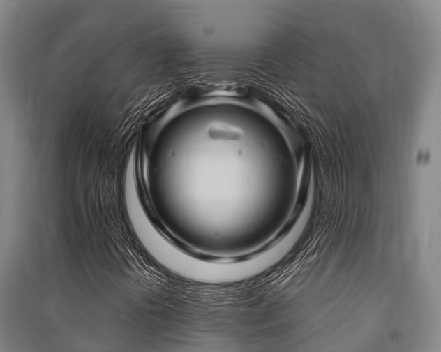 X0000091501394200708161449