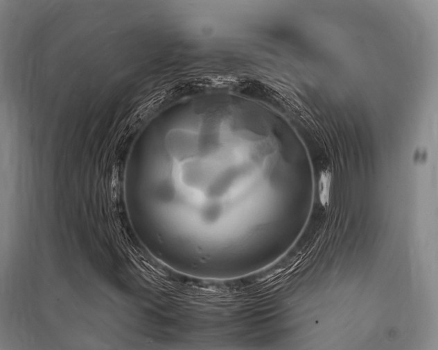 X0000091501395200708161449