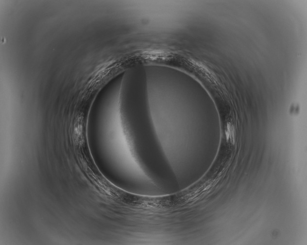 X0000091501396200708161449