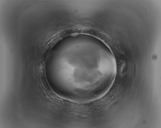 X0000091501397200708161449