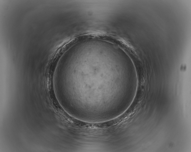 X0000091501398200708161449