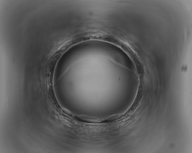 X0000091501399200708161449