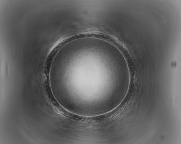 X0000091501400200708161449
