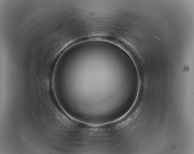 X0000091501401200708161449