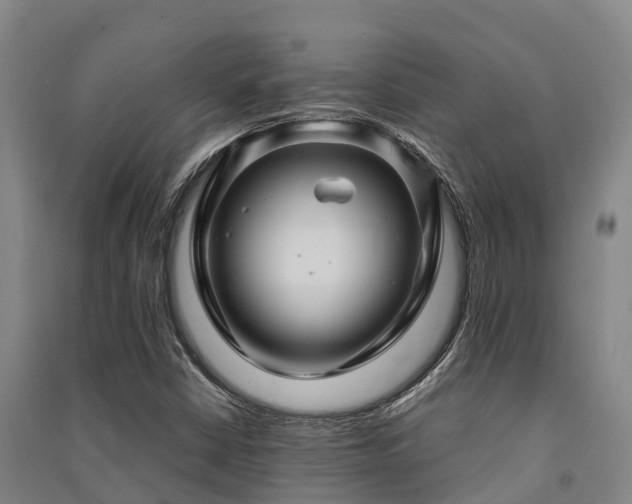X0000091501402200708161449