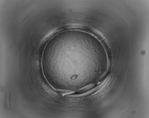 X0000091501403200708161449