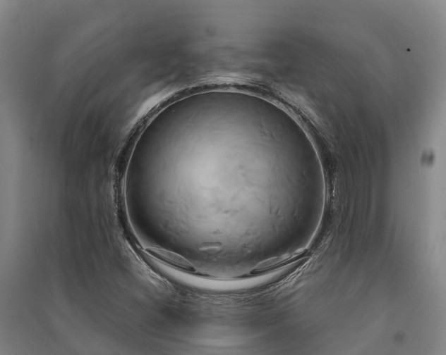 X0000091501404200708161449