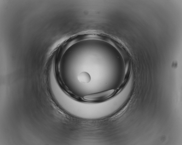 X0000091501406200708161449