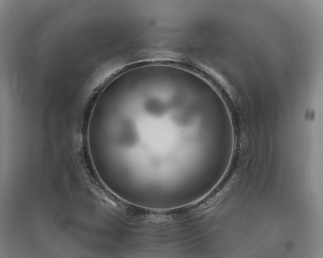 X0000091501407200708161449