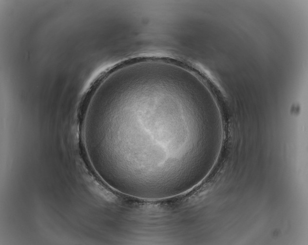 X0000091501408200708161449