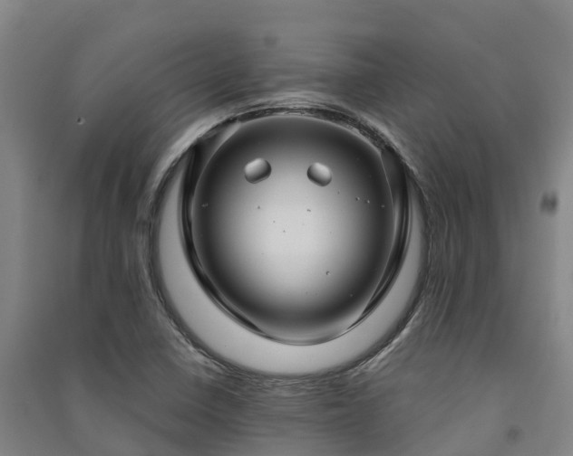 X0000091501410200708161449