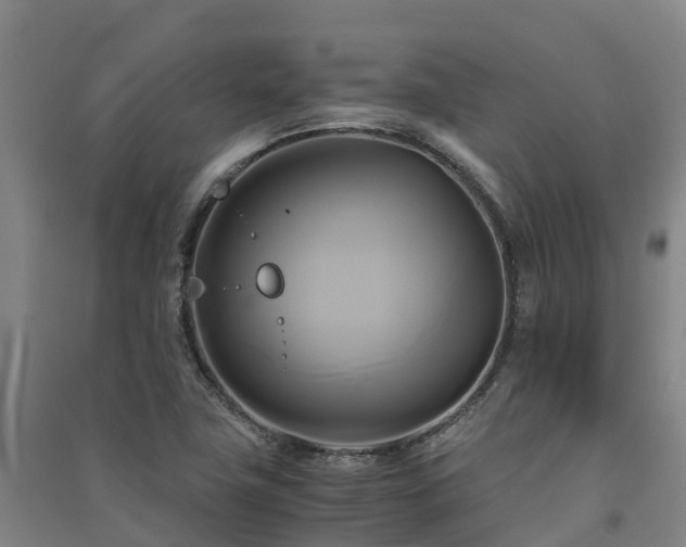 X0000091501411200708161449