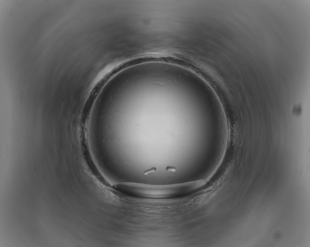 X0000091501412200708161449
