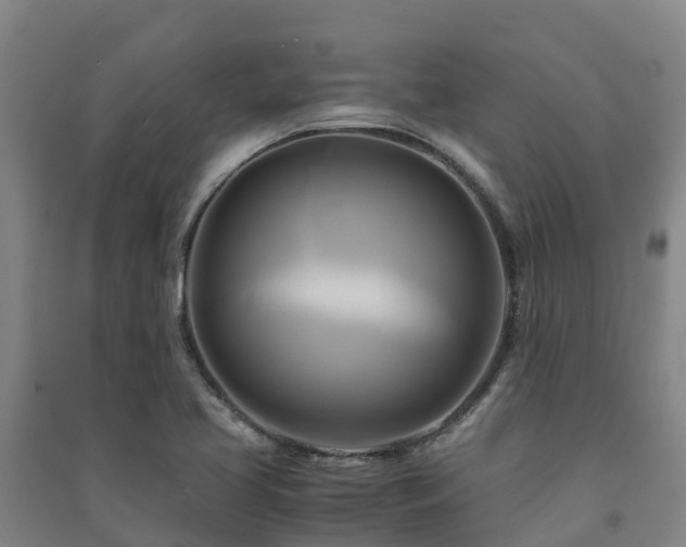 X0000091501413200708161449