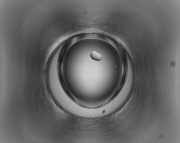 X0000091501414200708161449