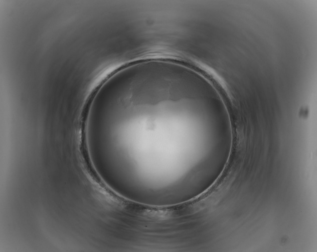 X0000091501415200708161449