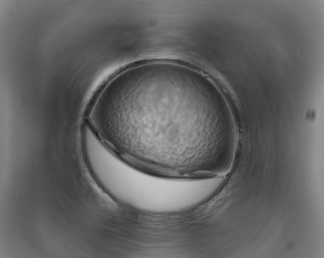 X0000091501416200708161449