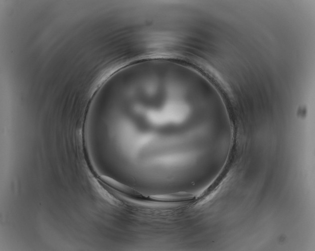 X0000091501417200708161449