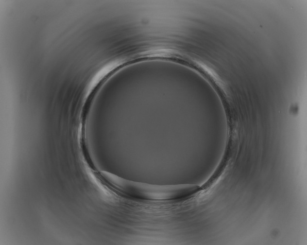 X0000091501418200708161449
