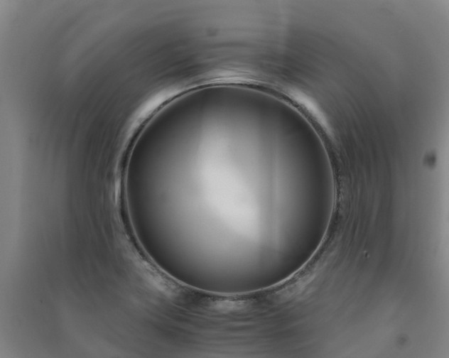 X0000091501419200708161449