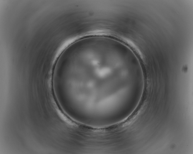 X0000091501421200708161449