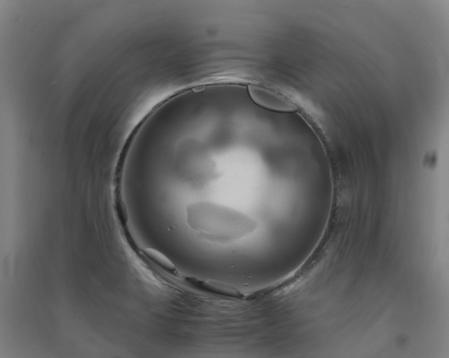 X0000091501423200708161449