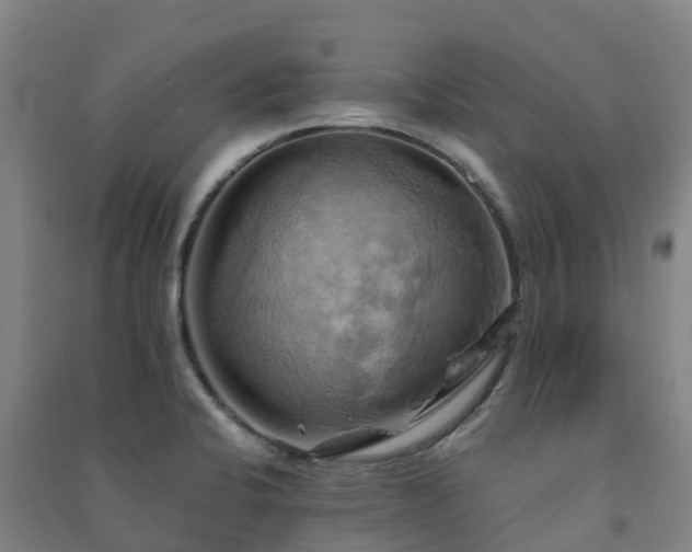 X0000091501424200708161449
