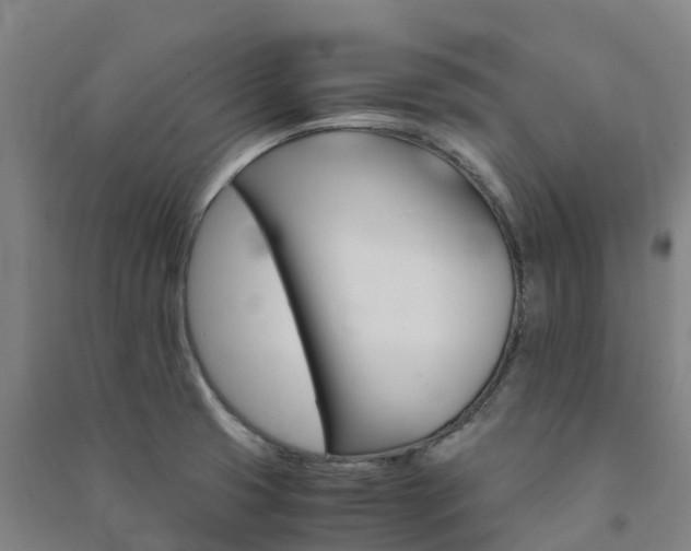 X0000091501425200708161449