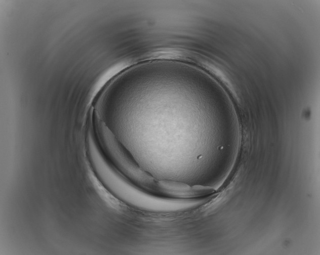 X0000091501426200708161449